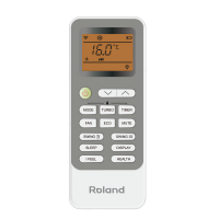 Roland RD-WZ09HSS/N1